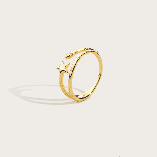 Chasing Star Ring | E45